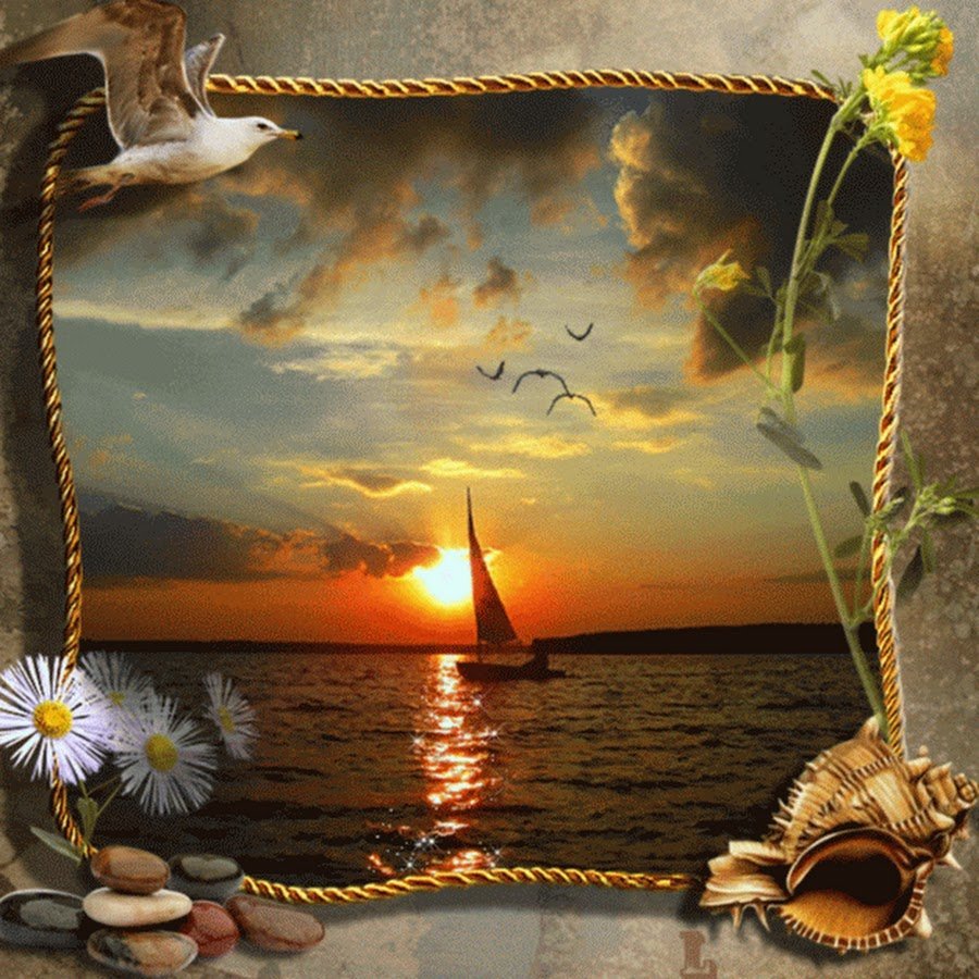 Доброй летней ночи