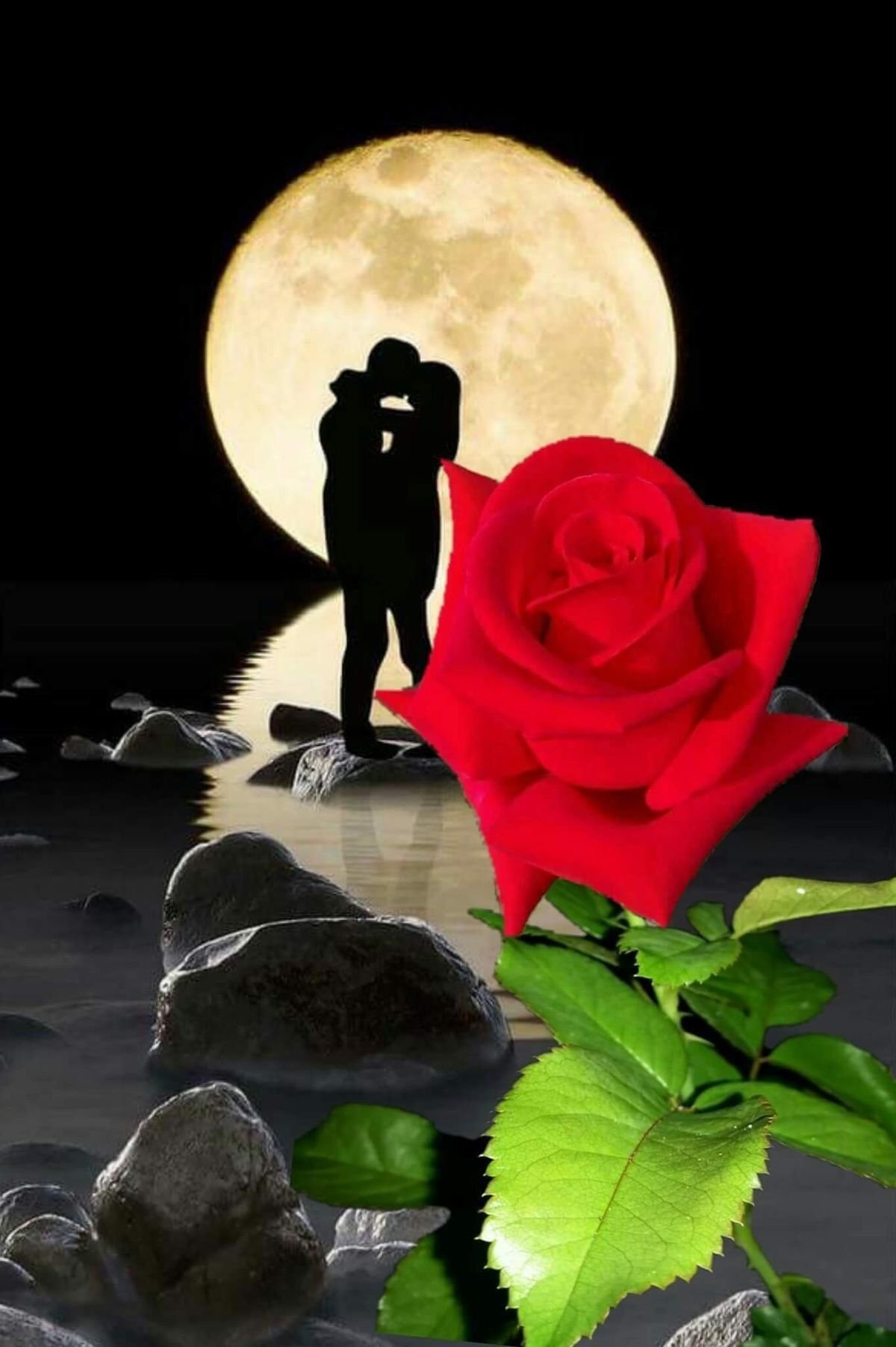 Спокойной ночи, Медвежонок!