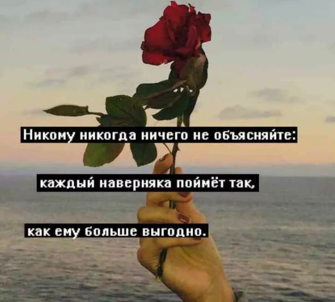 Павел Прилучный мажор