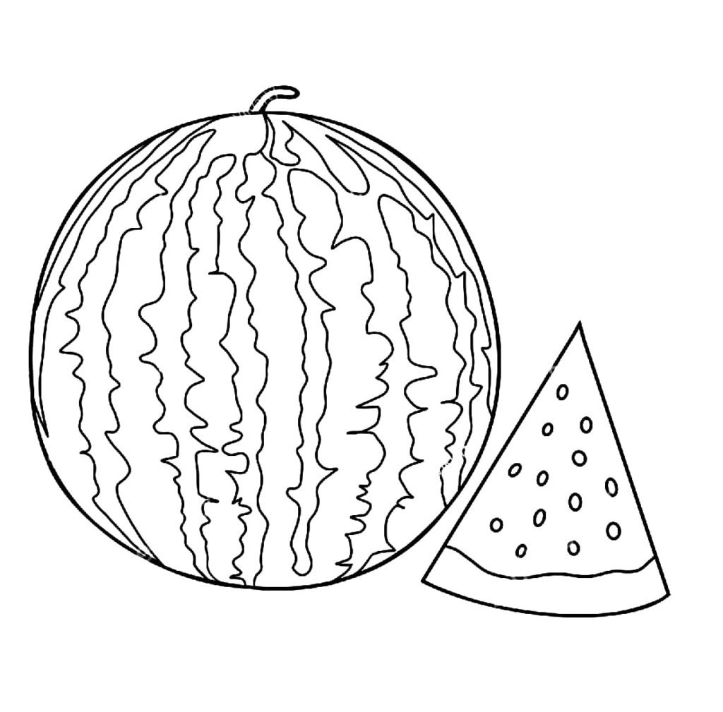 Стилизация арбуза в графике