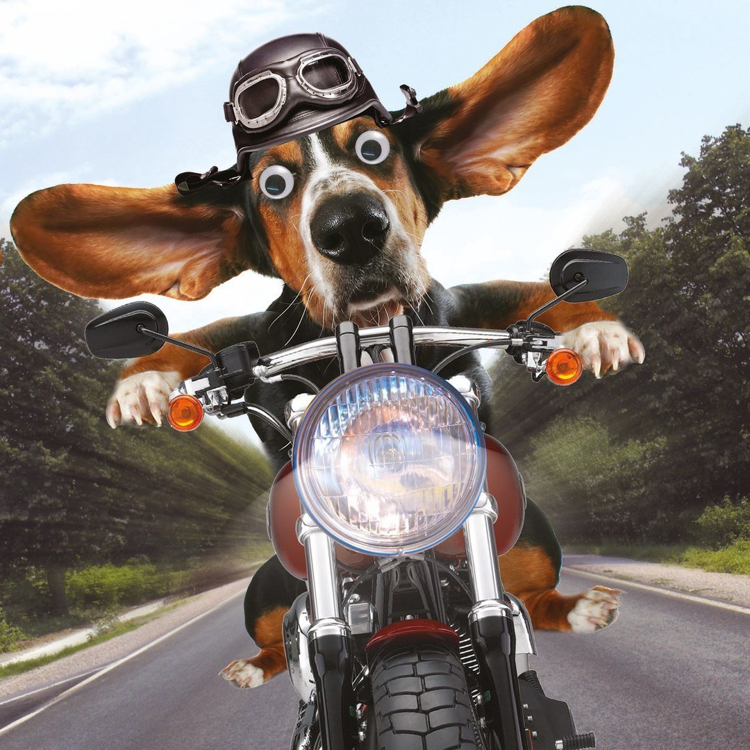 Открытка папе на день рождения с мотоциклом