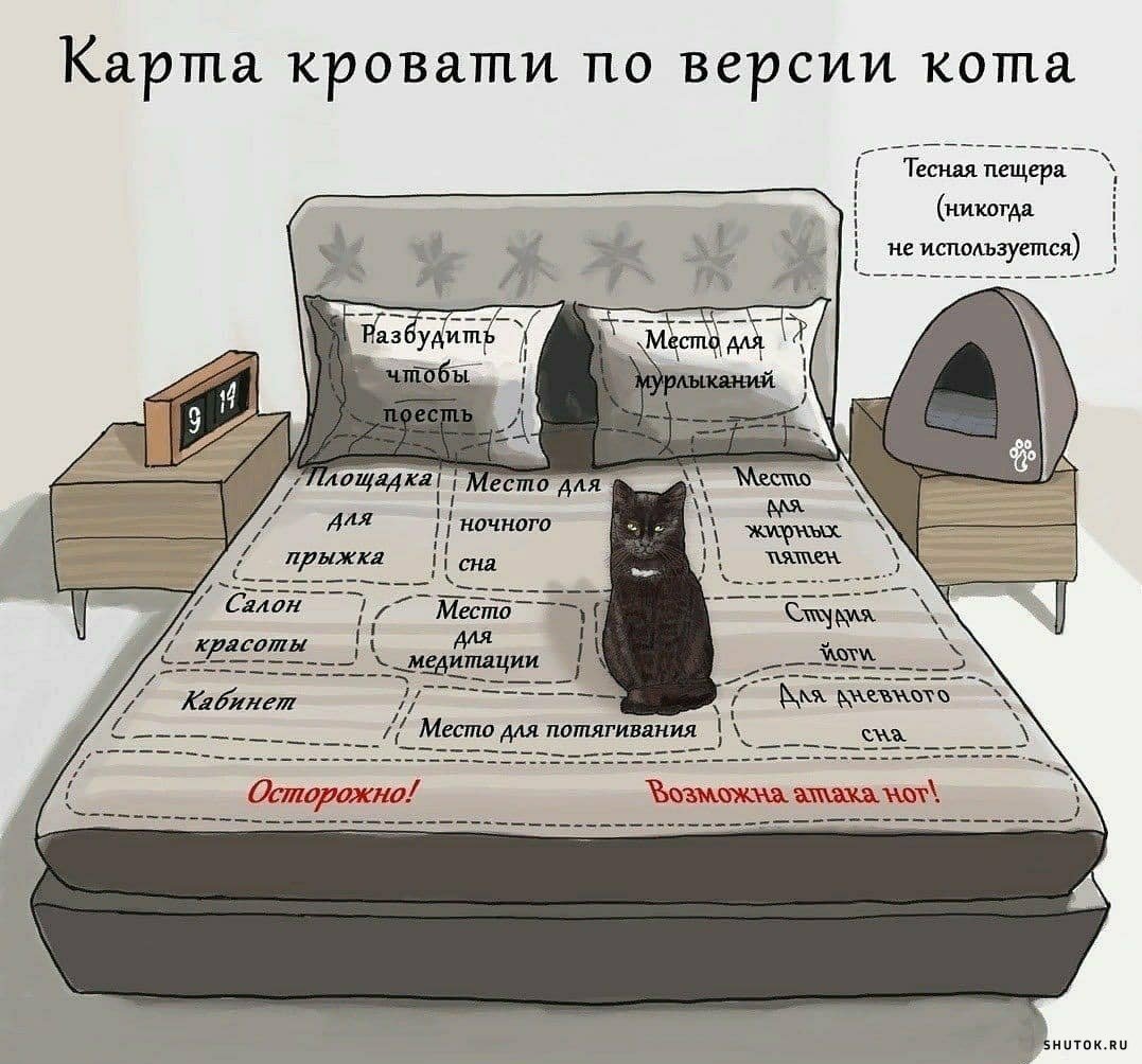 Эстетики синего цвета