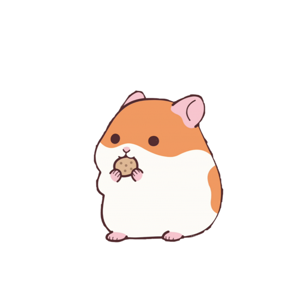 Хомяк хамтаро