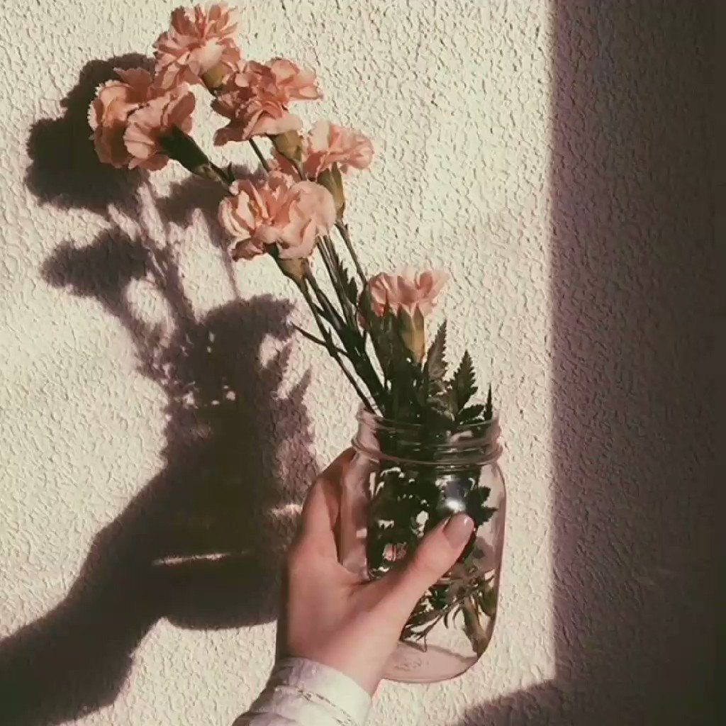 Эстетика из пинтереста