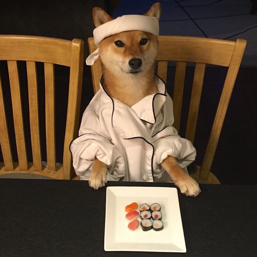 St. pupper animal Hospital