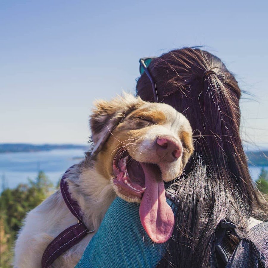 Позитивные снимки