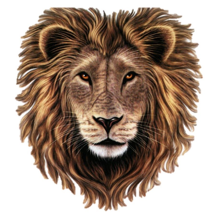 Голова Льва на прозрачном фоне