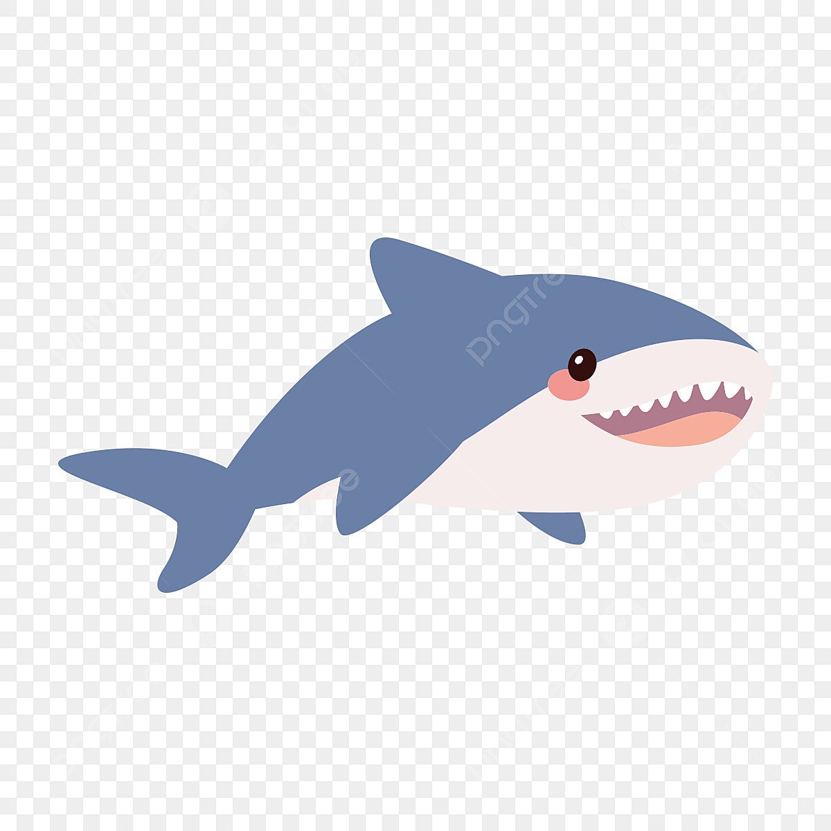 Милые акулки