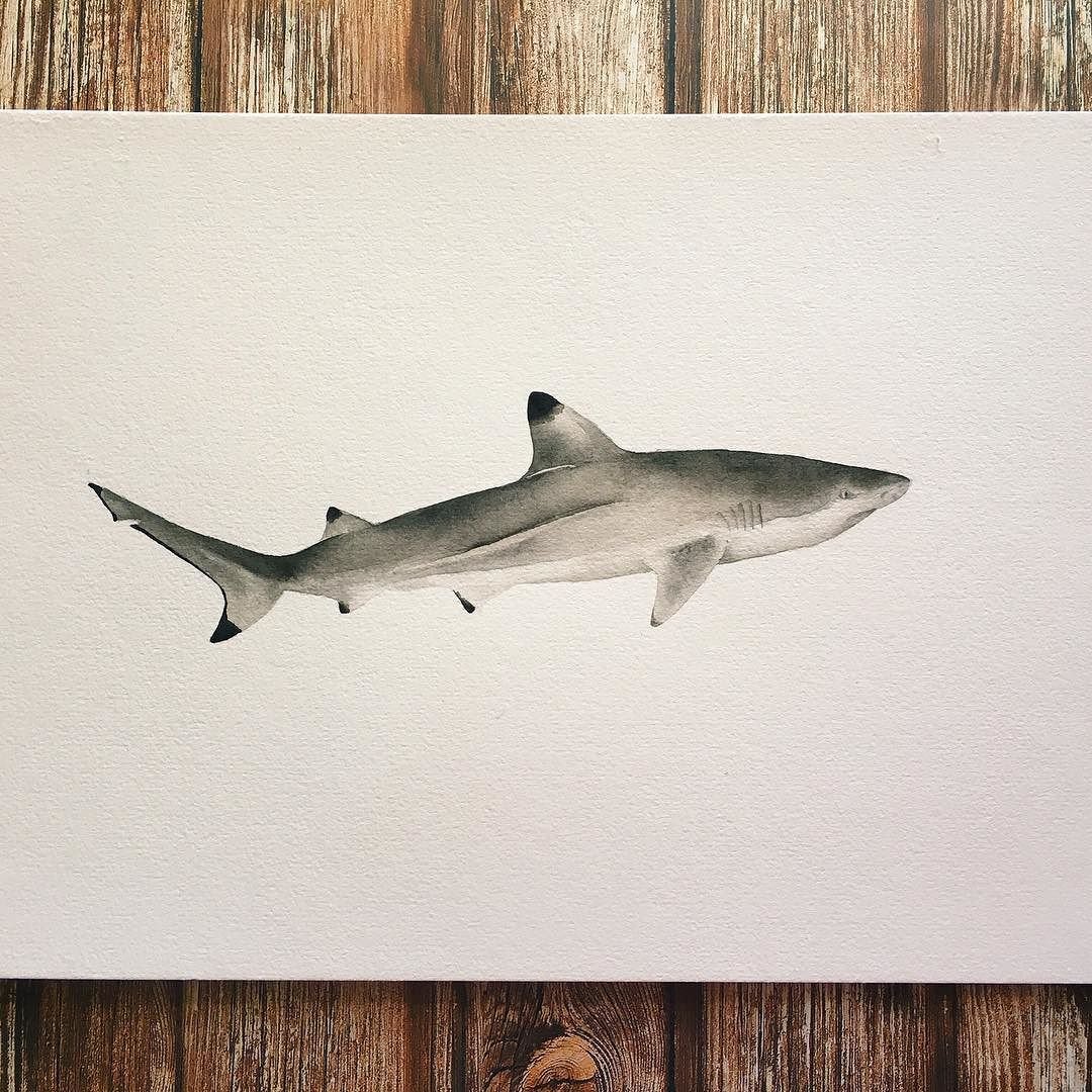 Акула для детей