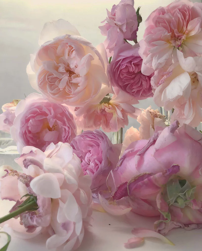 Художник Nick Knight