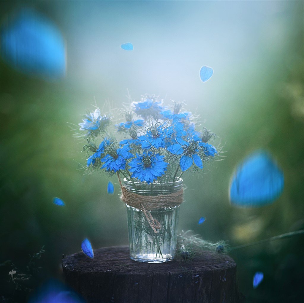 Пейзаж Вдохновение