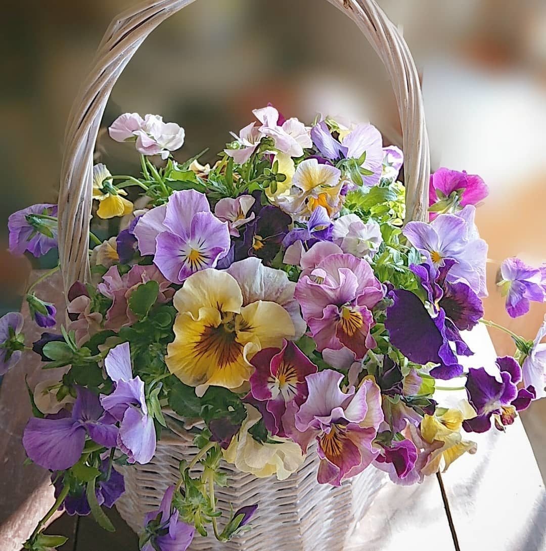 Нежные цветы в вазе