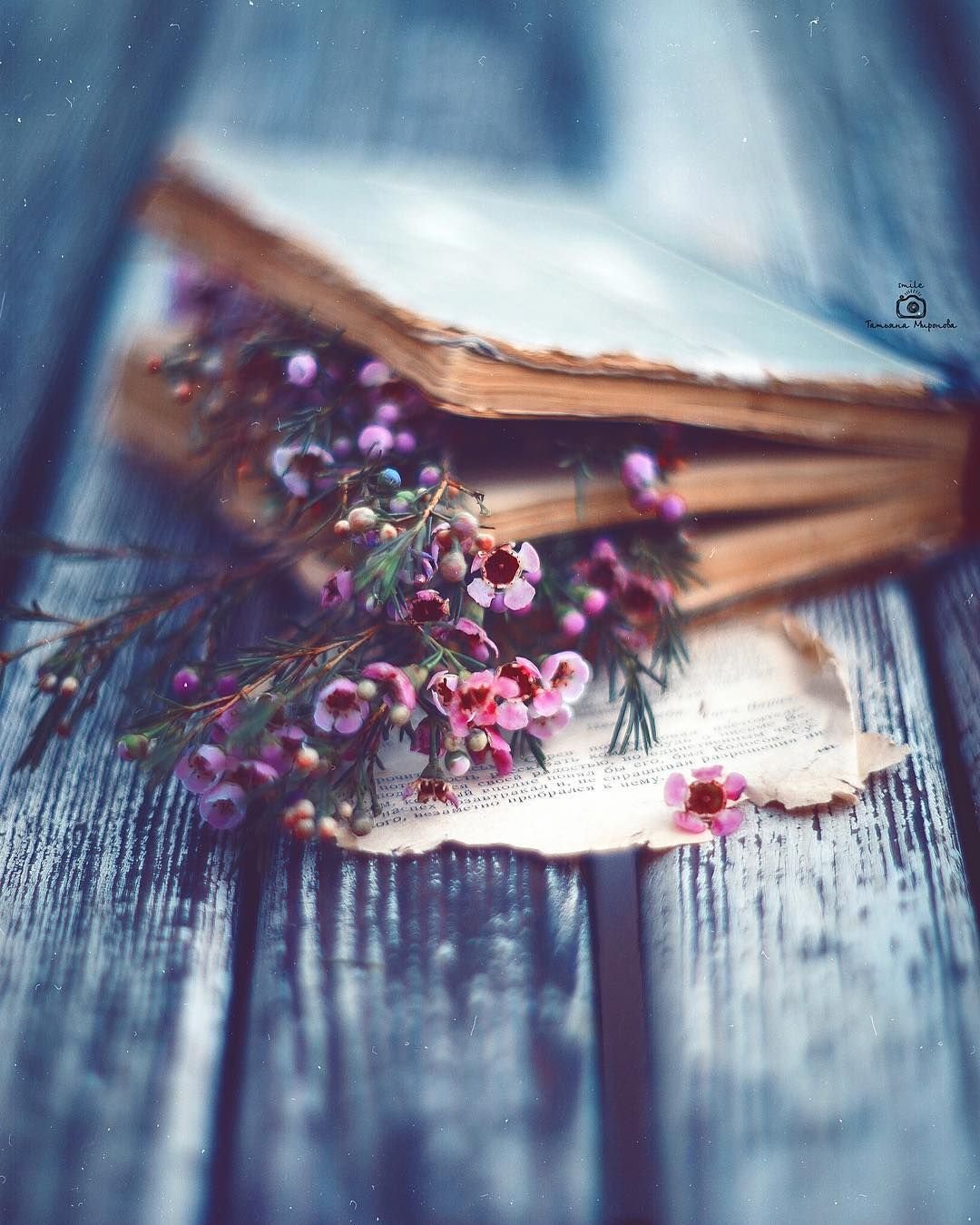 Ханс Эмменеггер букет Васильков