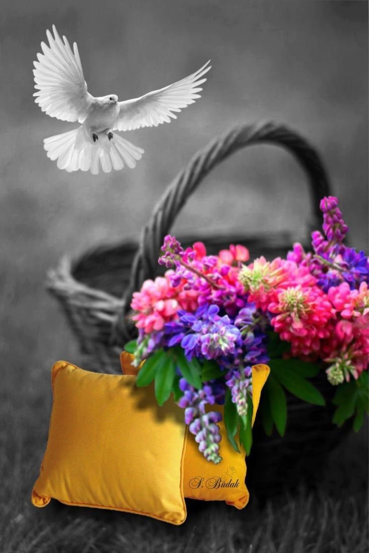 Трогательные цветы