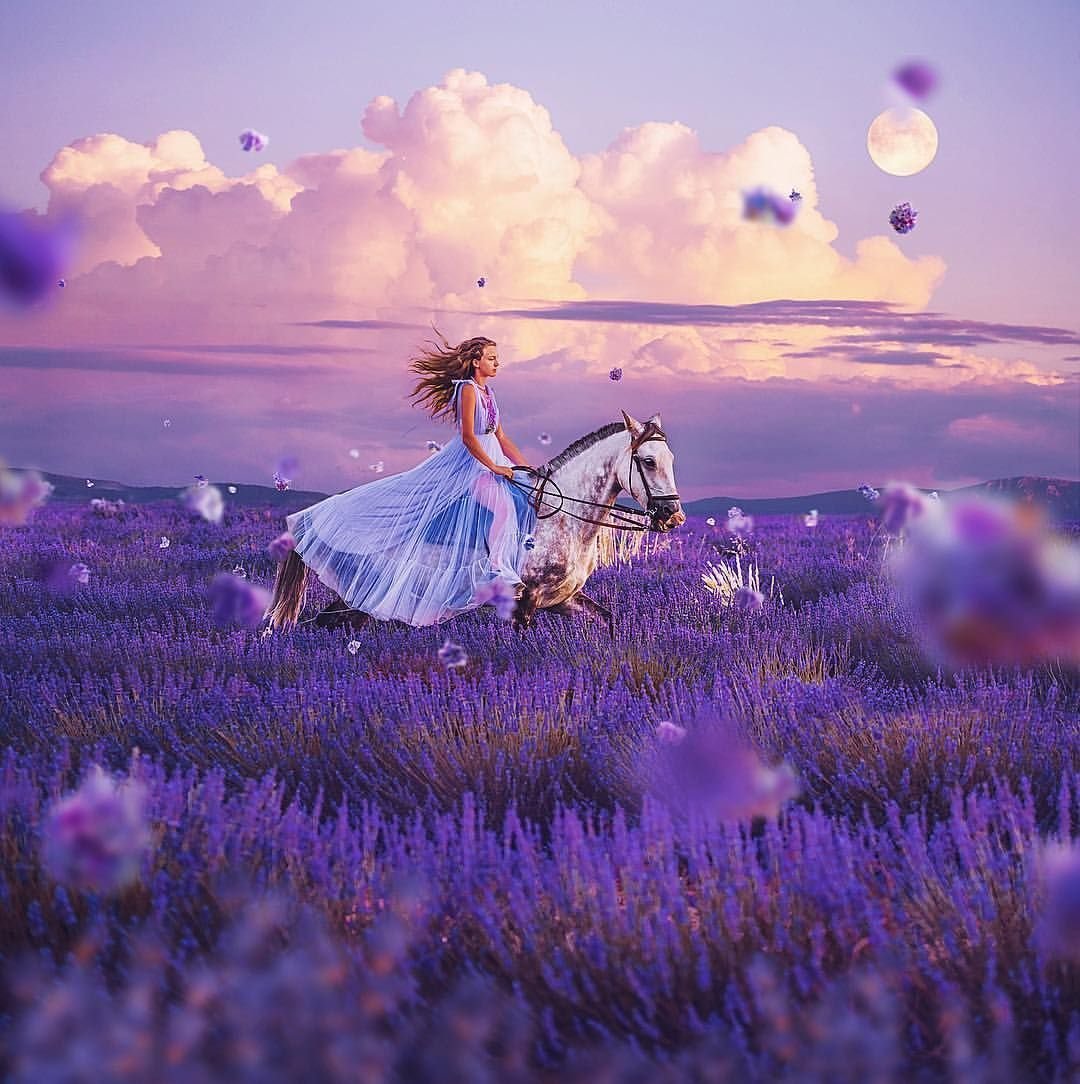 Букет цветов на скамейке