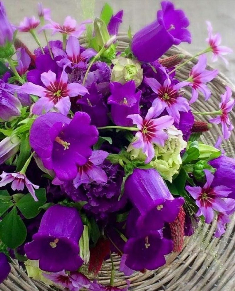 Доброе утро в сиреневых тонах