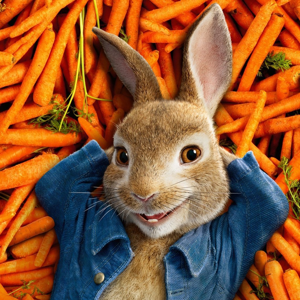 Кролик Питер обложка