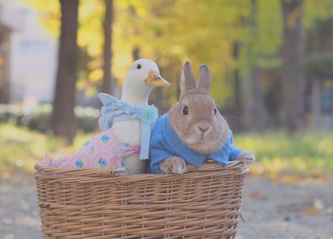 Заяц с зайчонком