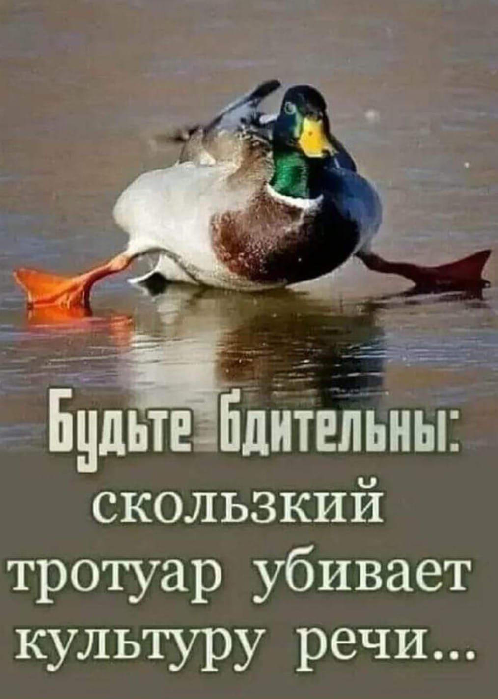 Скользко на улице