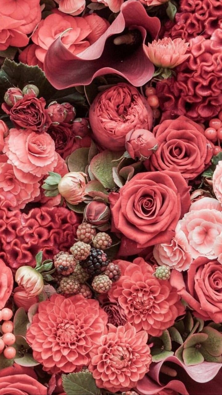 Эффектные цветы