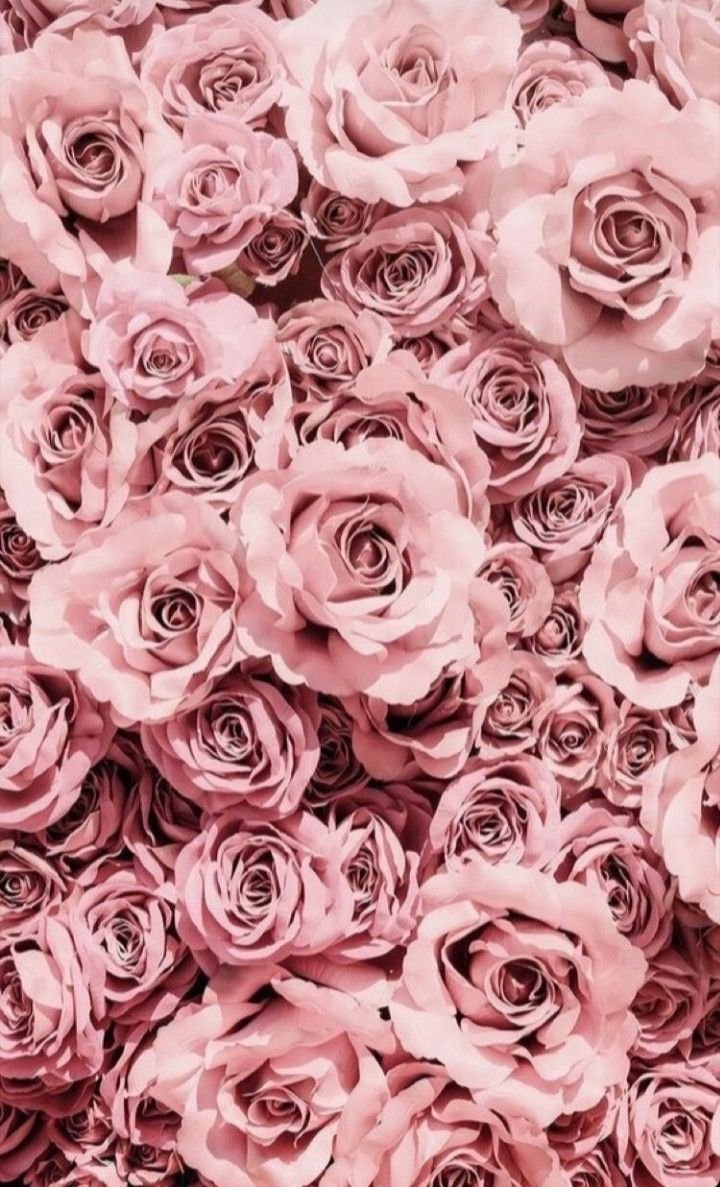 Куча красивых цветов