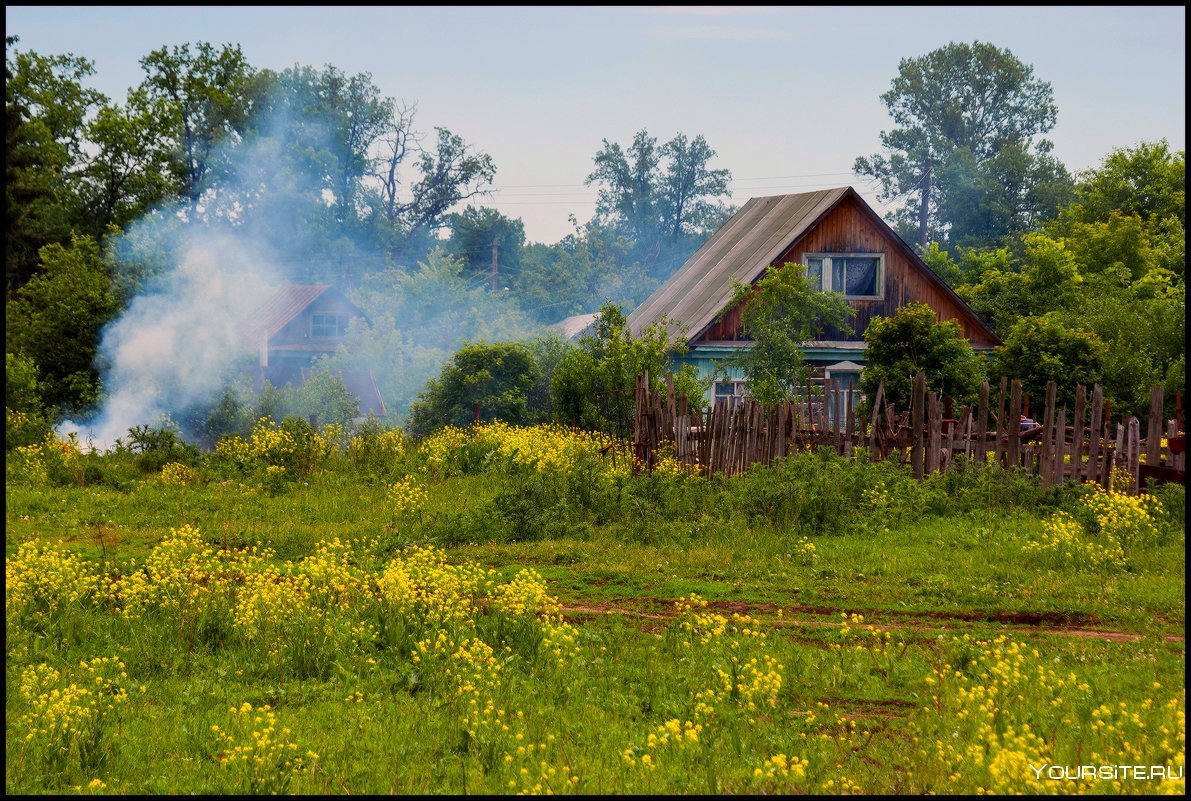 Природа деревня