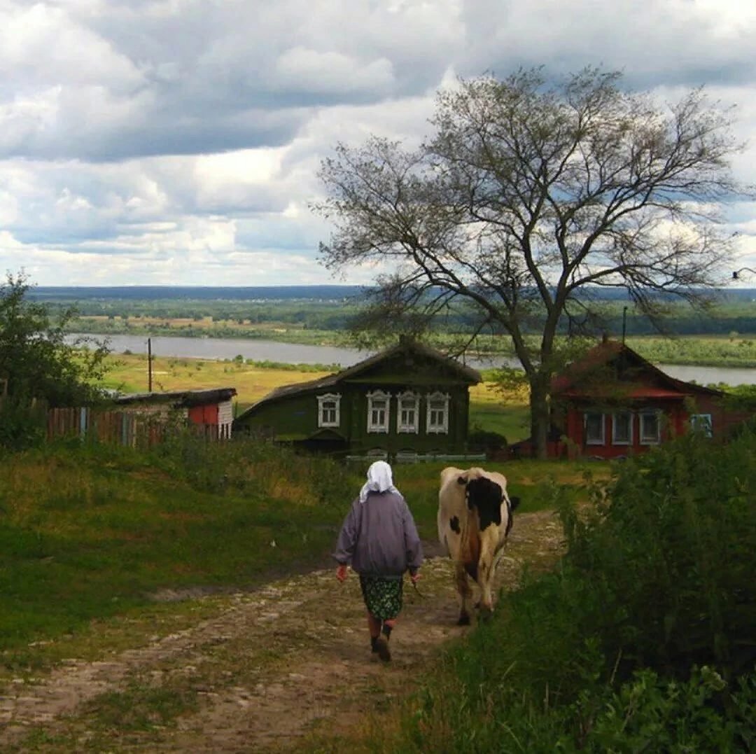 Старый Мостяк деревня