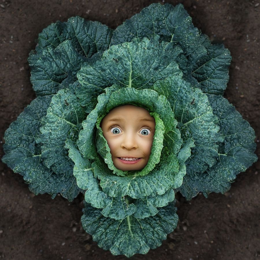 Швейцарский фотограф Джон Вильгельм