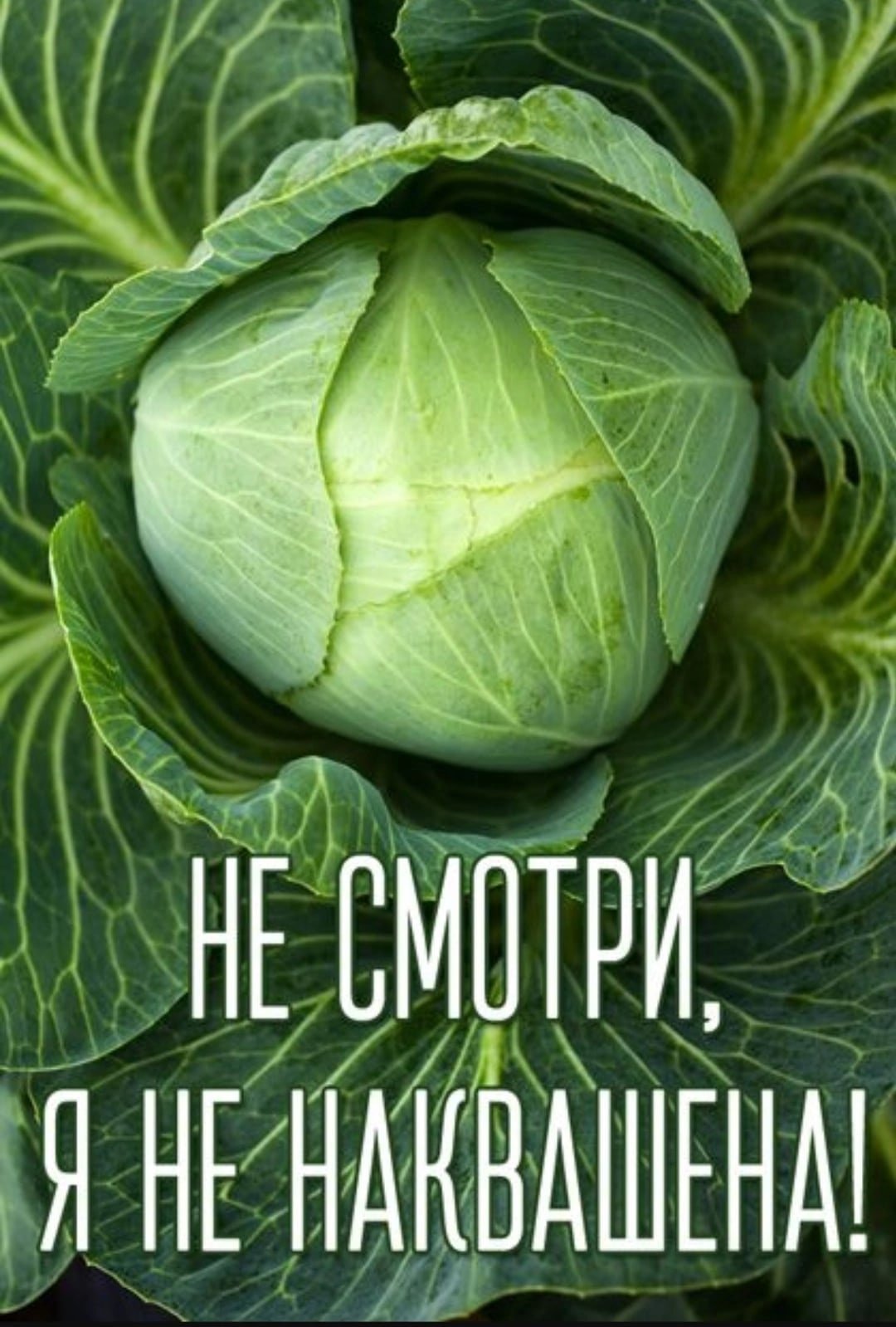 Не наквашена