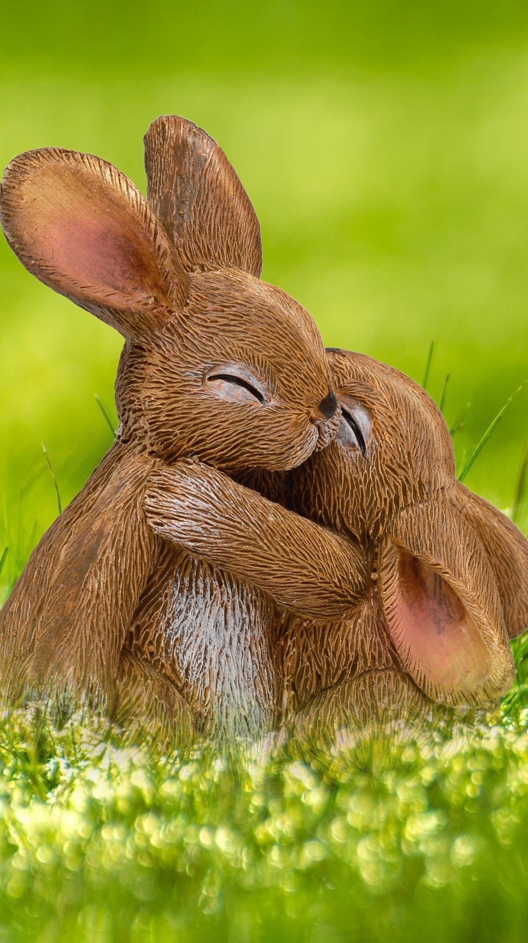 Кролики обнимаются