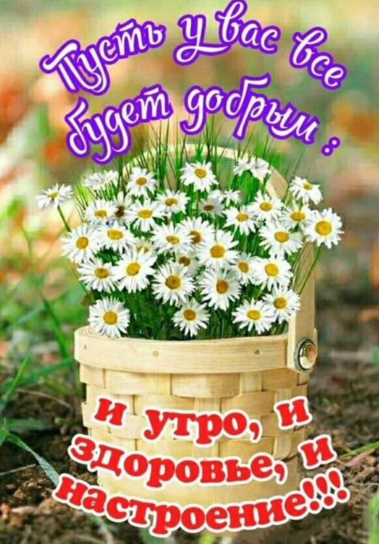 Поздравления с новым днем