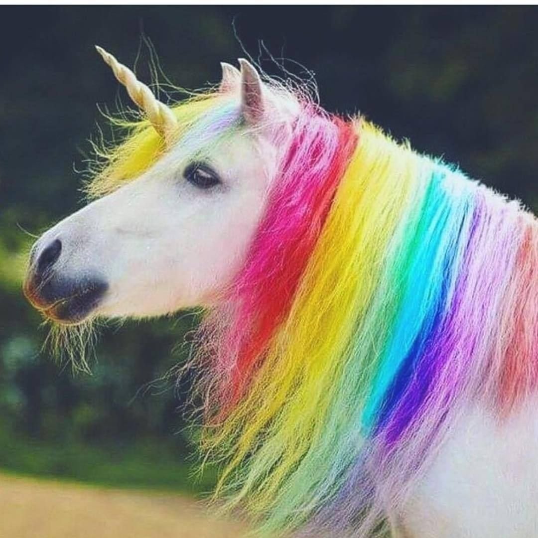 Единороги большие настоящие