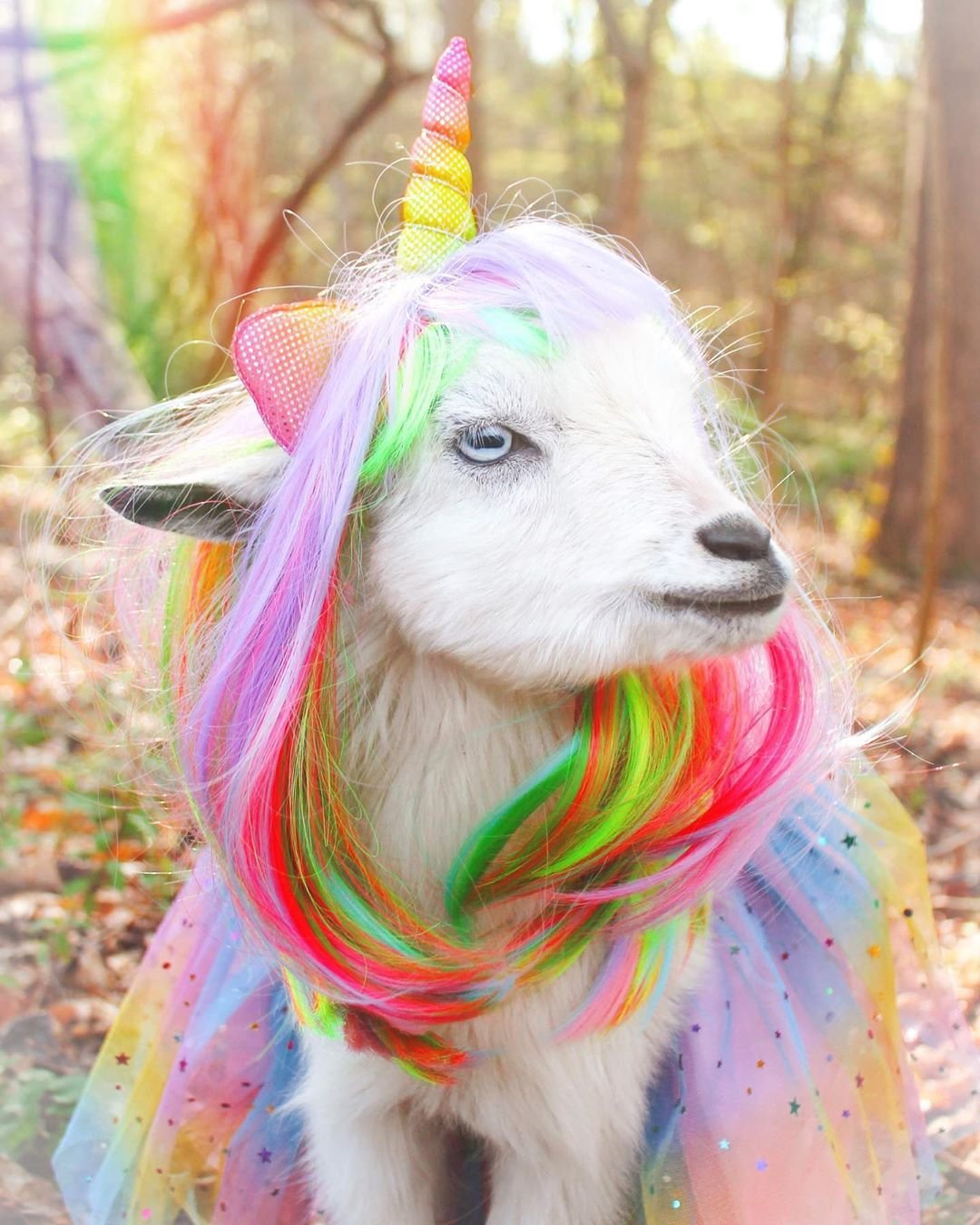 Легенды завтрашнего дня Единорог из ада