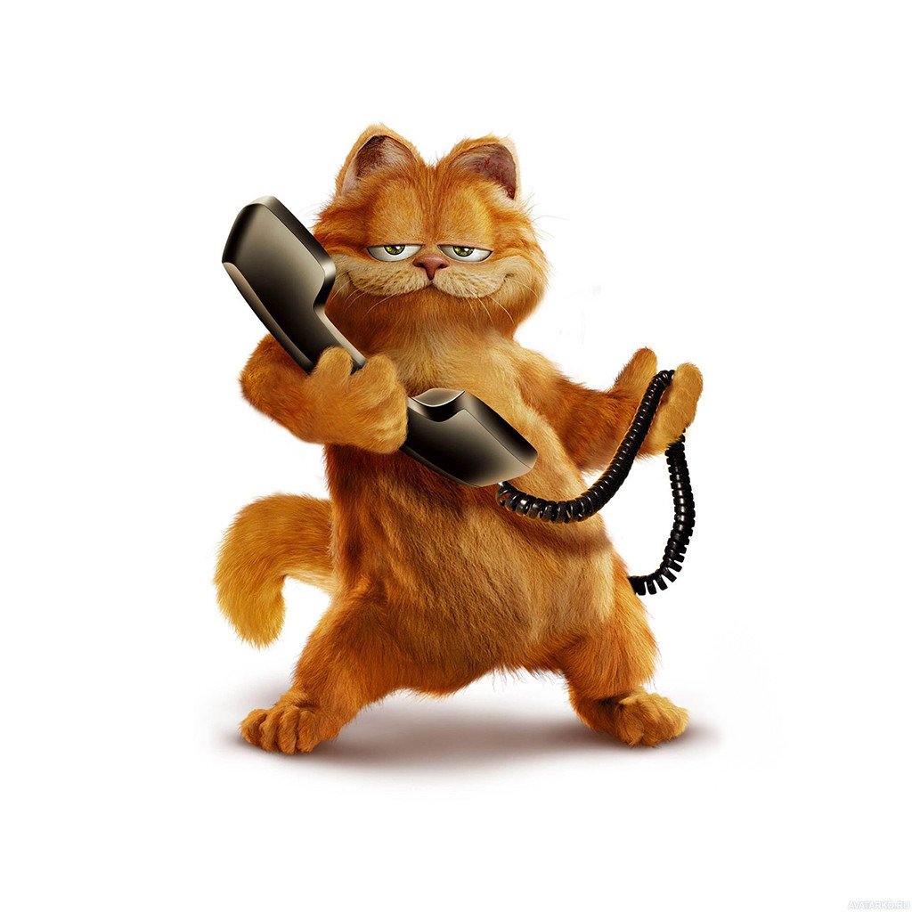 Картинки на телефон прикольные