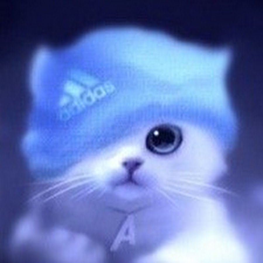 Аватарка котик в шапке