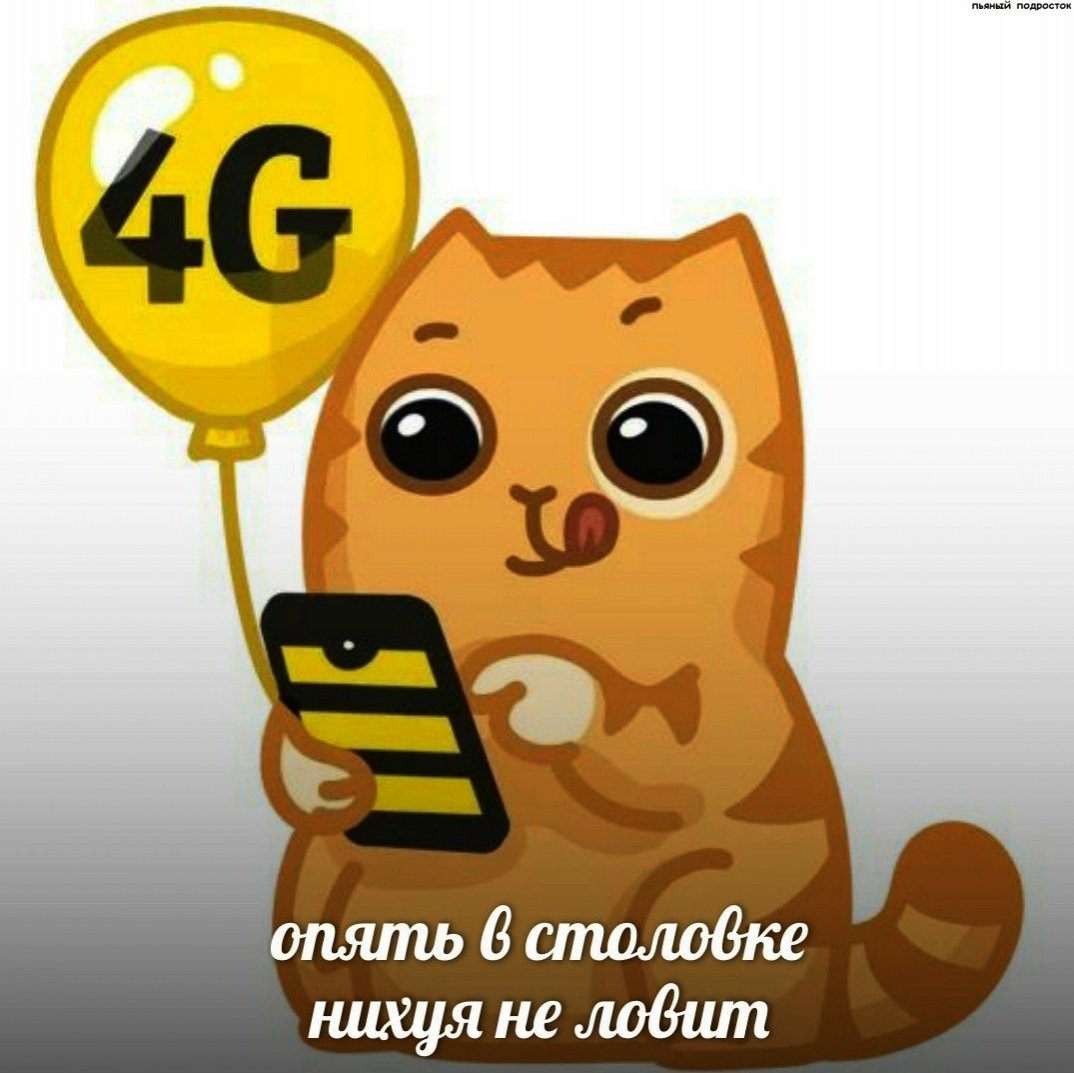 Смайлики с котами