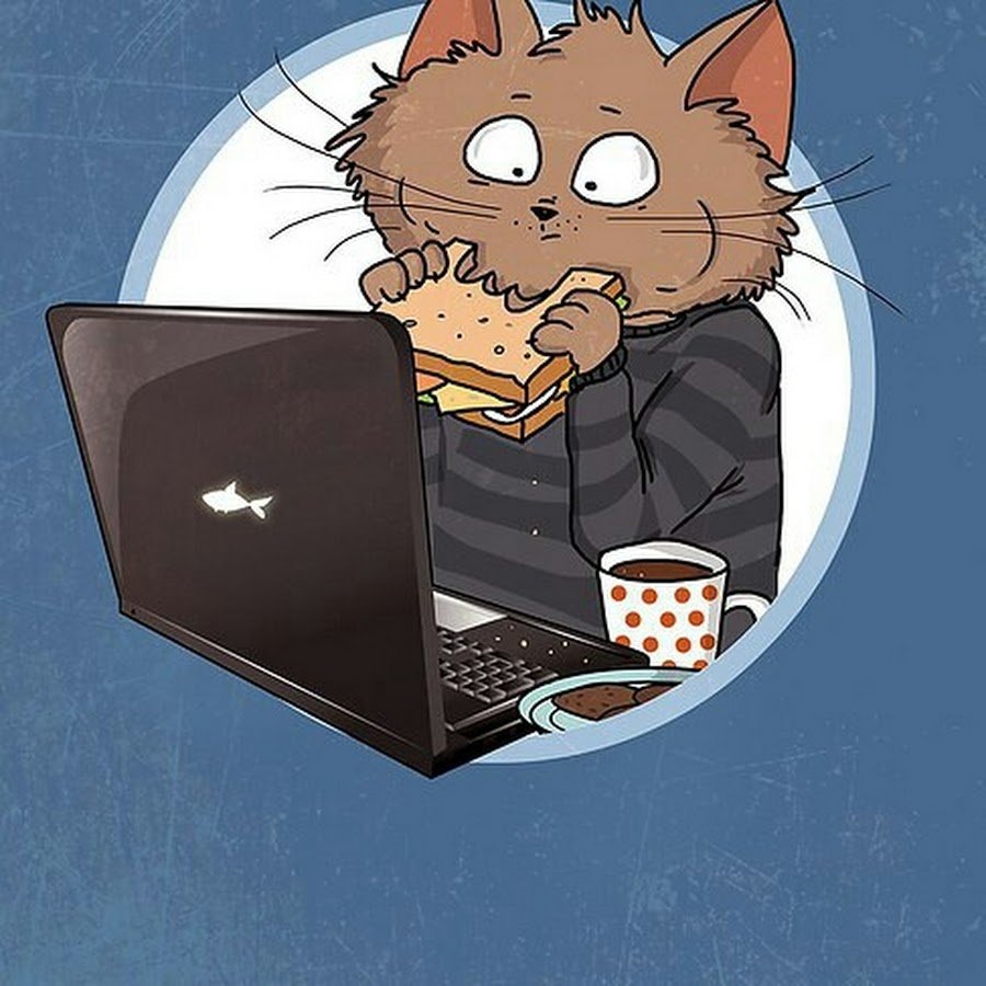 Программирование кот