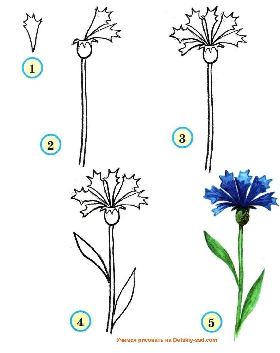 Васильки гуашью