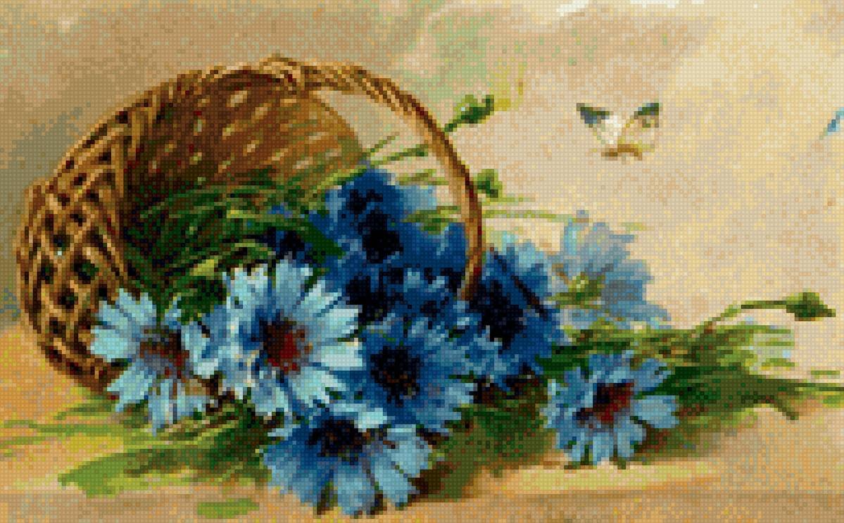 Васильки, Клевер, луговые цветы