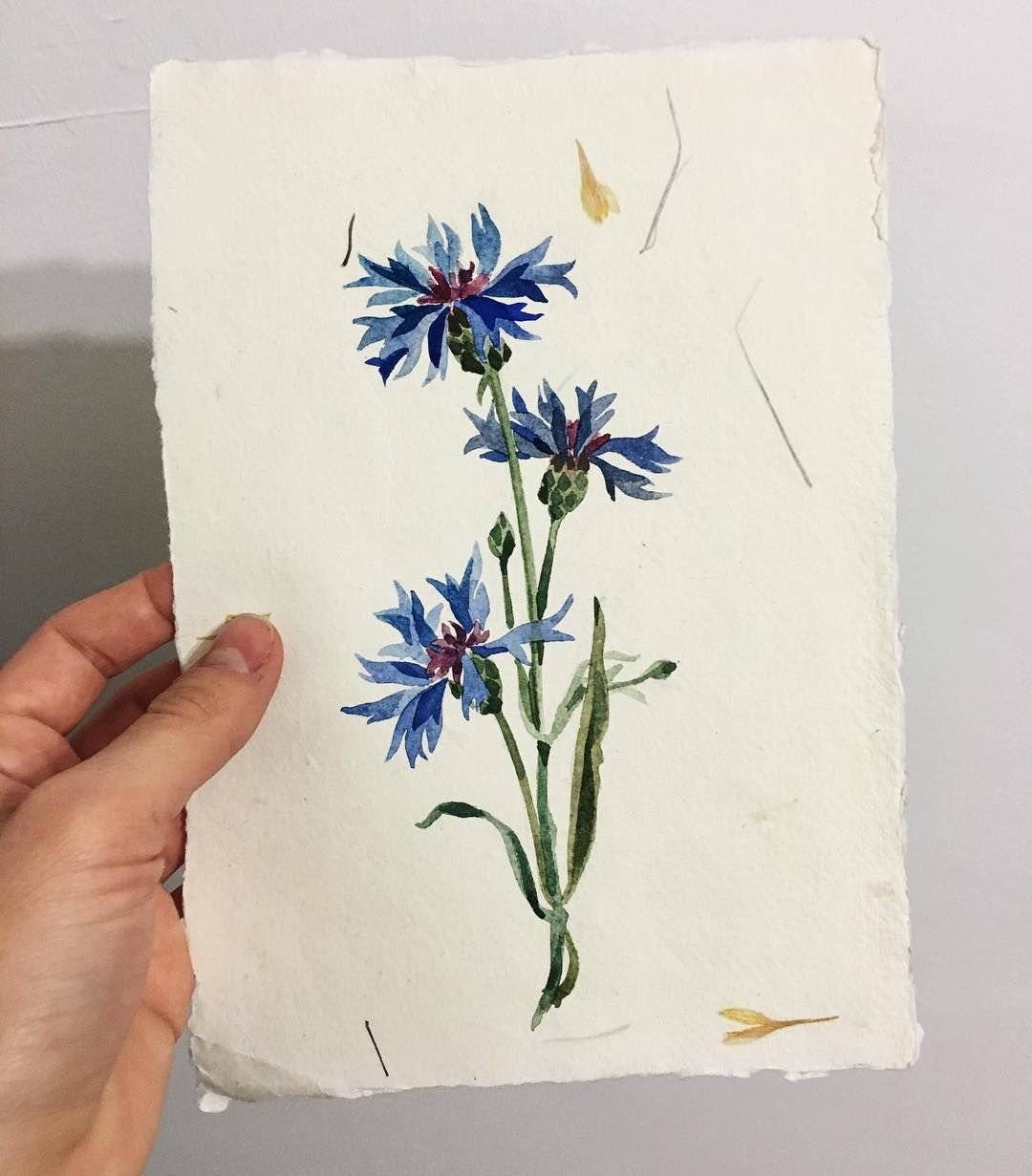 Костанди поле Васильков картины