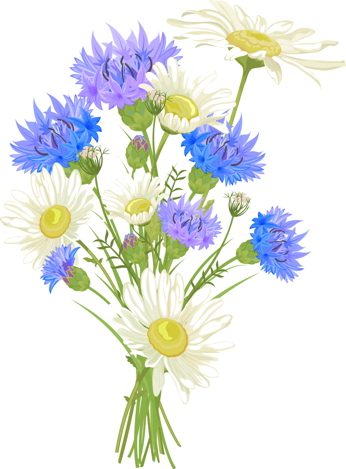 Васильки акварелью