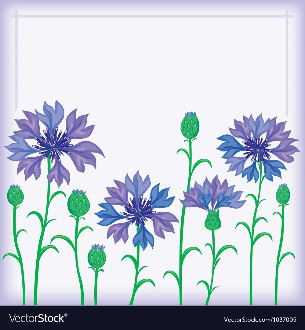 Полевые цветы пастелью