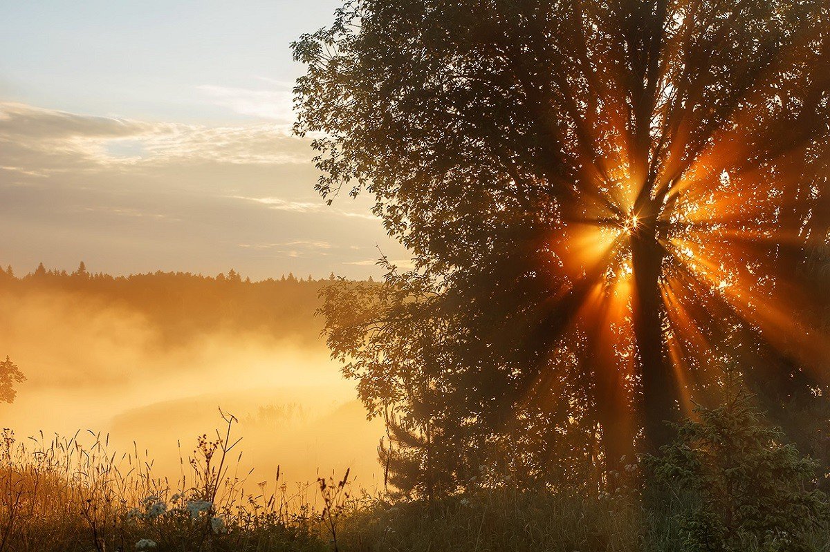 Лучи утреннего солнца