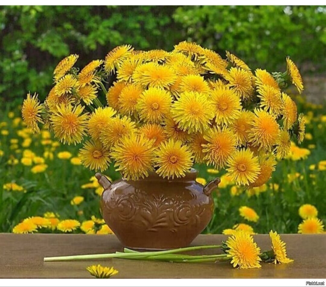 Утро рассвет