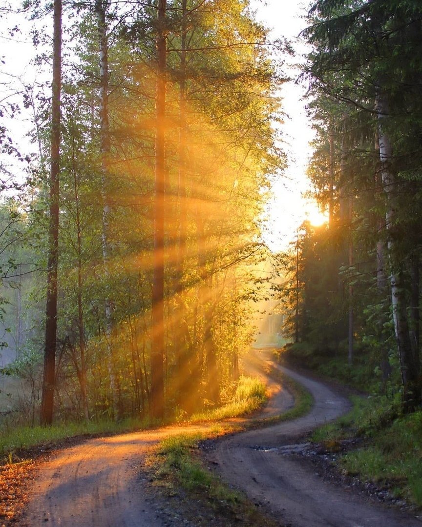 Солнечноно настроение