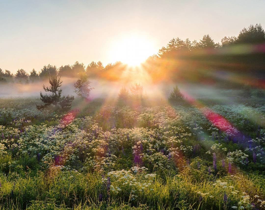 Лето солнце