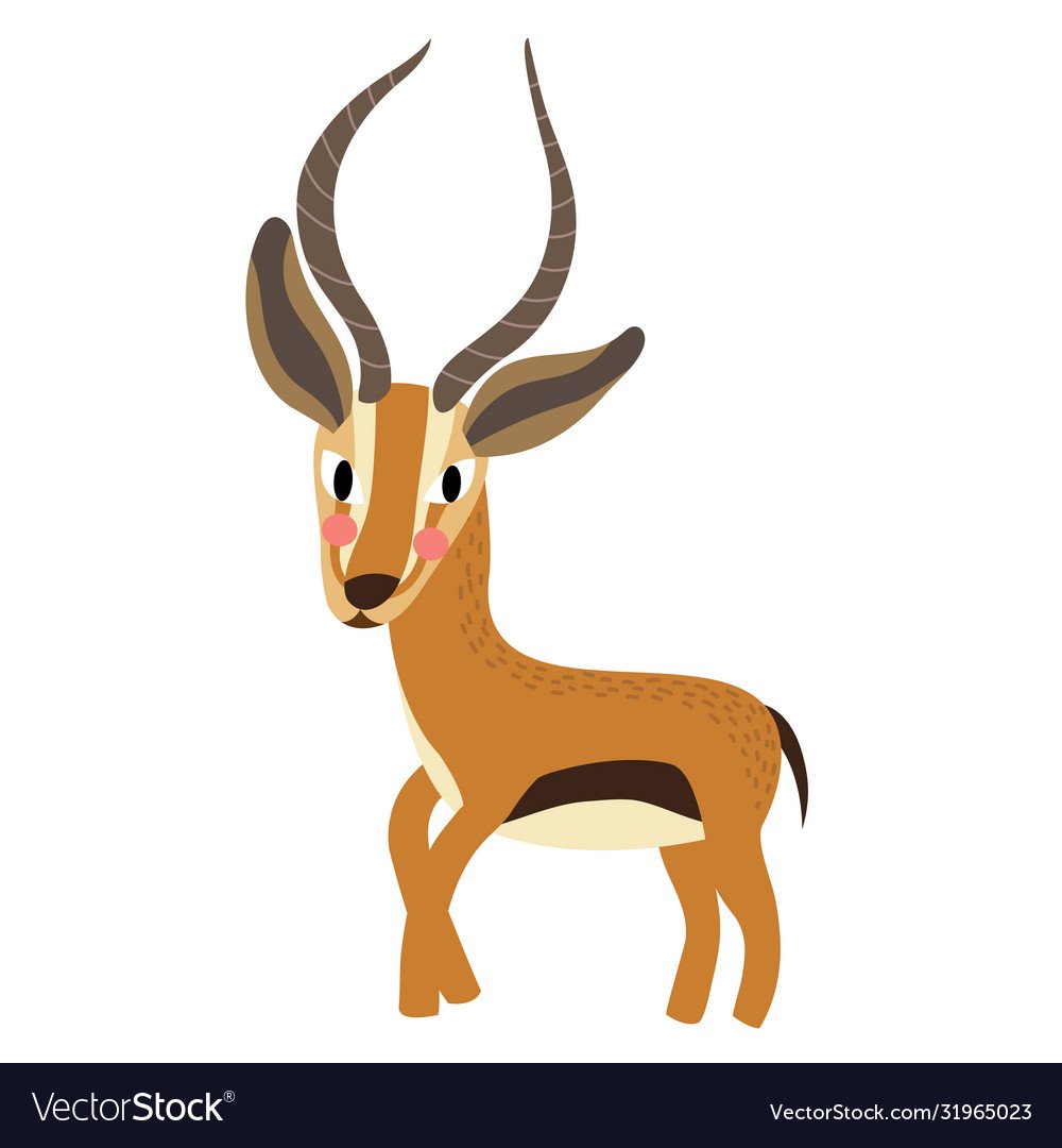 Газель животное на белом фоне