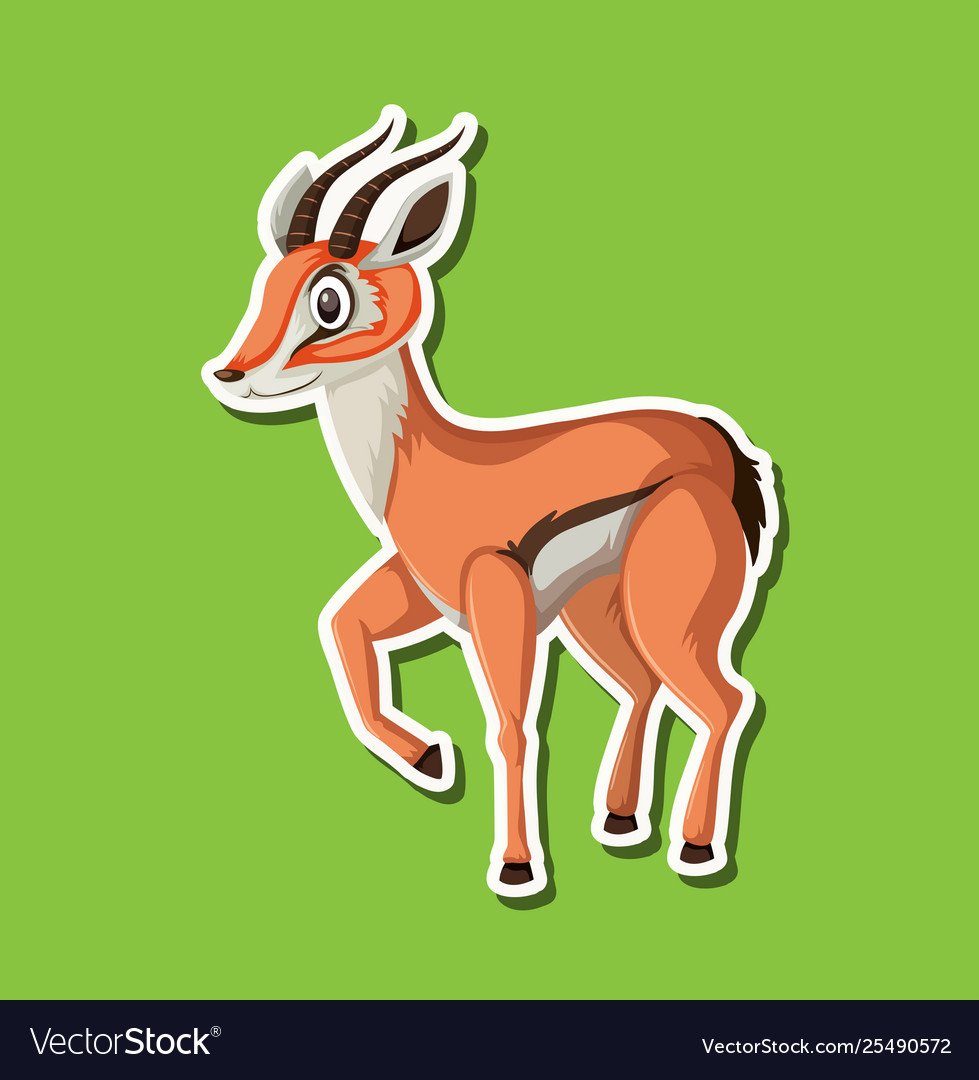 Антилопа на белом фоне