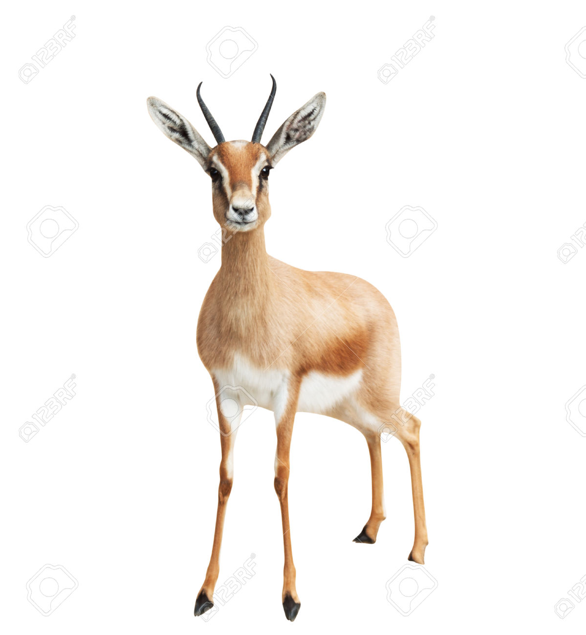 Прикольные логотипы