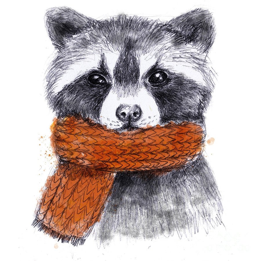 Милые енотики арт